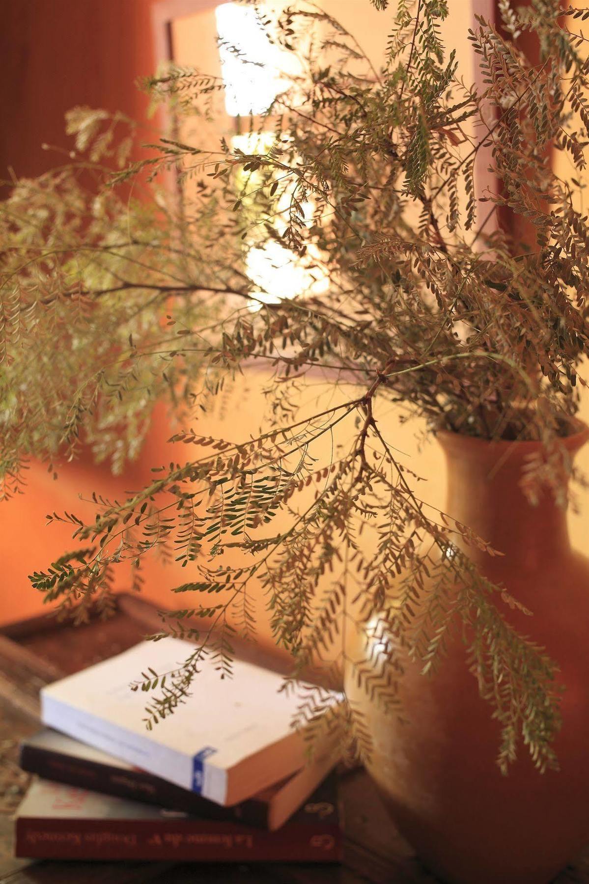 Le Jardin Des Douars Bed and Breakfast Al Ghar Εξωτερικό φωτογραφία